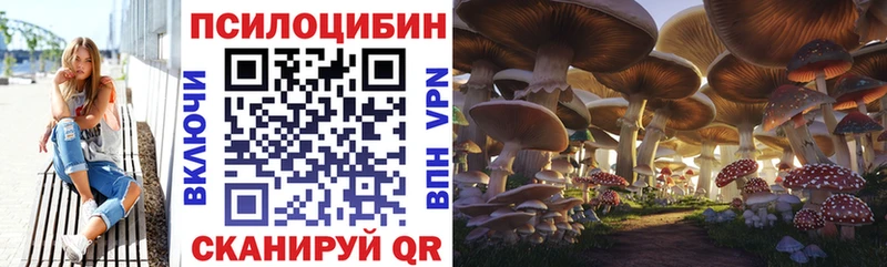Купить  Урень  Галлюциногенные грибы Magic Shrooms 